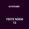 Yeete Nsem, Pt. 12 - Amerado lyrics