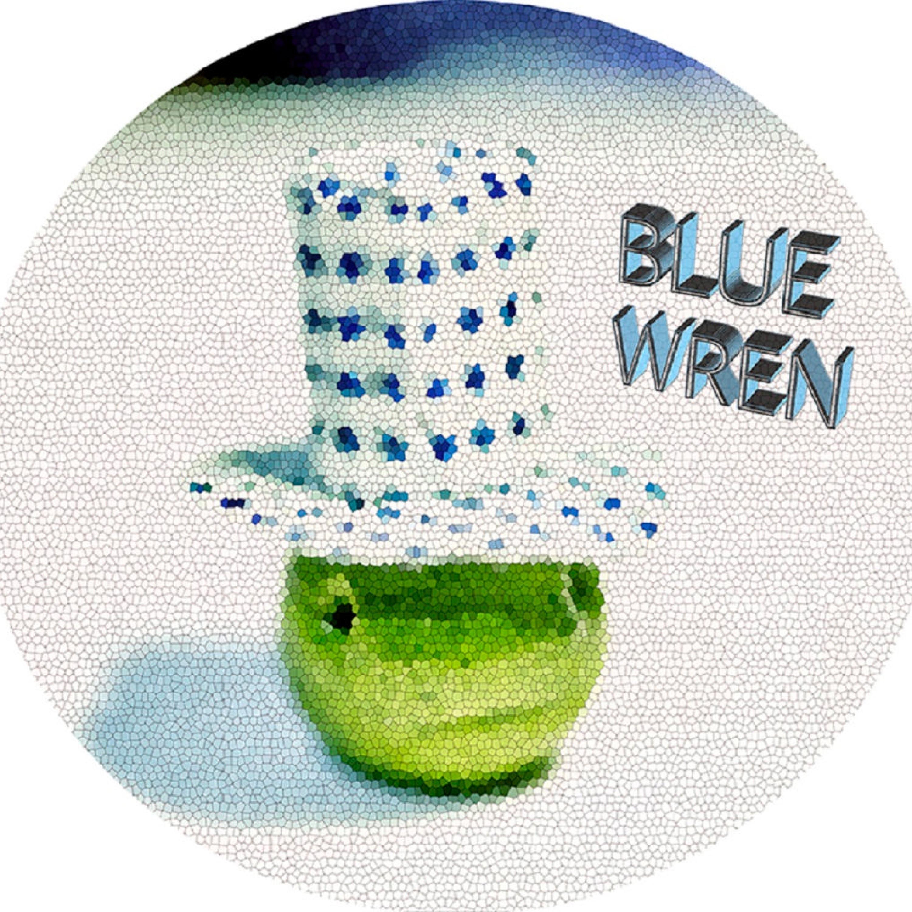 Blue Wren - Single