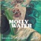 Molly Water - La Finesse, MNZR & Gabriel Drago lyrics