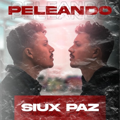 Peleando (feat. Mowmentss) - Single