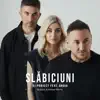 DJ Project - Slăbiciuni (feat. Andia) [DJ Dark & Mentol Remix]