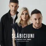 DJ Project - Slăbiciuni (feat. Andia) [DJ Dark & Mentol Remix]