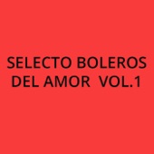 Selecto Boleros del Amor, Vol. 1 artwork