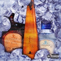 Don Julio - Single - Paypah