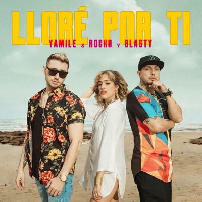 Lloré por Ti - Single