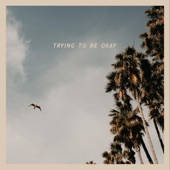 Trying To Be Ok artwork