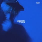 Vaikeeta (feat. costee) artwork