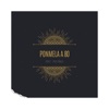 Ponmela a 80 (feat. Polybius) - Single