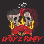 Kytky Z Pumpy artwork