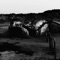 Memoire (Vinyl Version) - AMENRA lyrics
