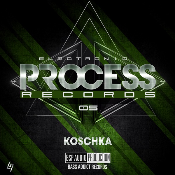 Electronic Process Records 05 - Single
