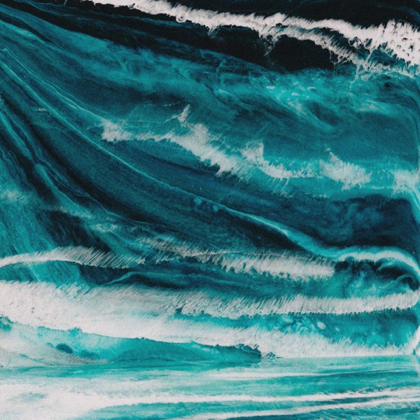 Spacious - Single