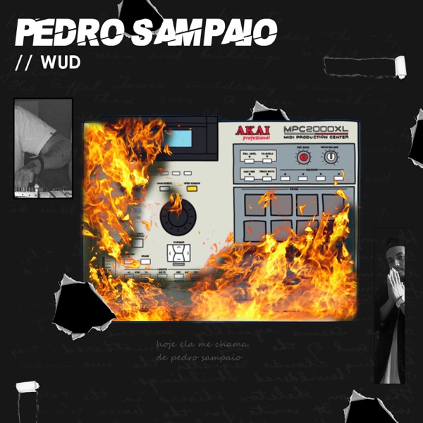 Pedro Sampaio - Single - Wud Dj