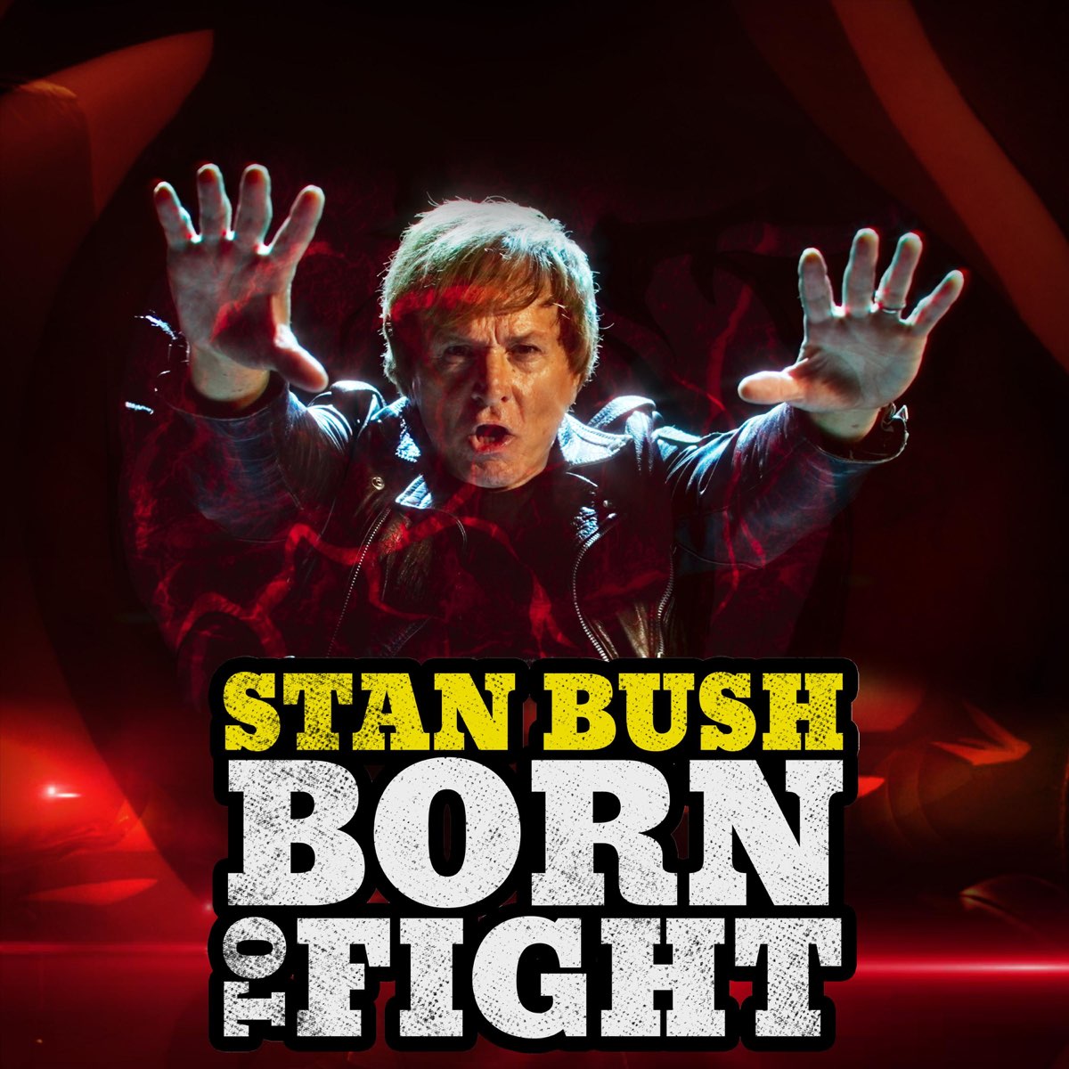 Альбом «Born To Fight - Single» — Stan Bush — Apple Music