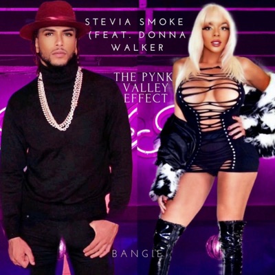 The PYNK VALLEY EFFECT (feat. DONNA WALKER) [BANGIE] - Single