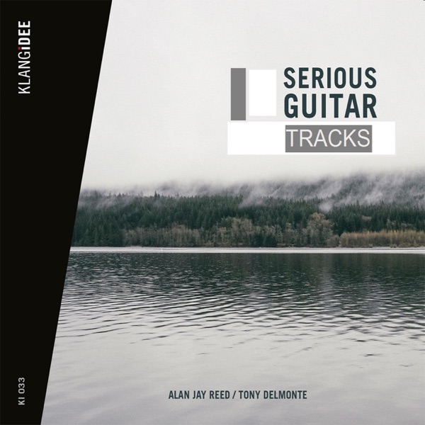 Serious Guitar Tracks