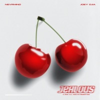 Jealous - Single - NEVRMIND & JOEY DJIA