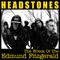 The Wreck of the Edmund Fitzgerald - Headstones lyrics