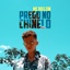 Prego no Chinelo - Single