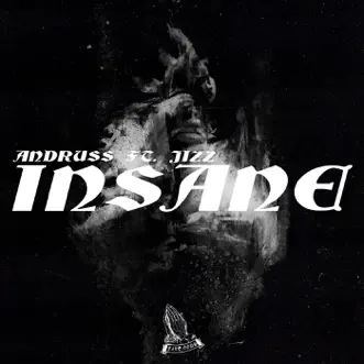 Insane (feat. Jizz) - Single by Andruss album reviews, ratings, credits