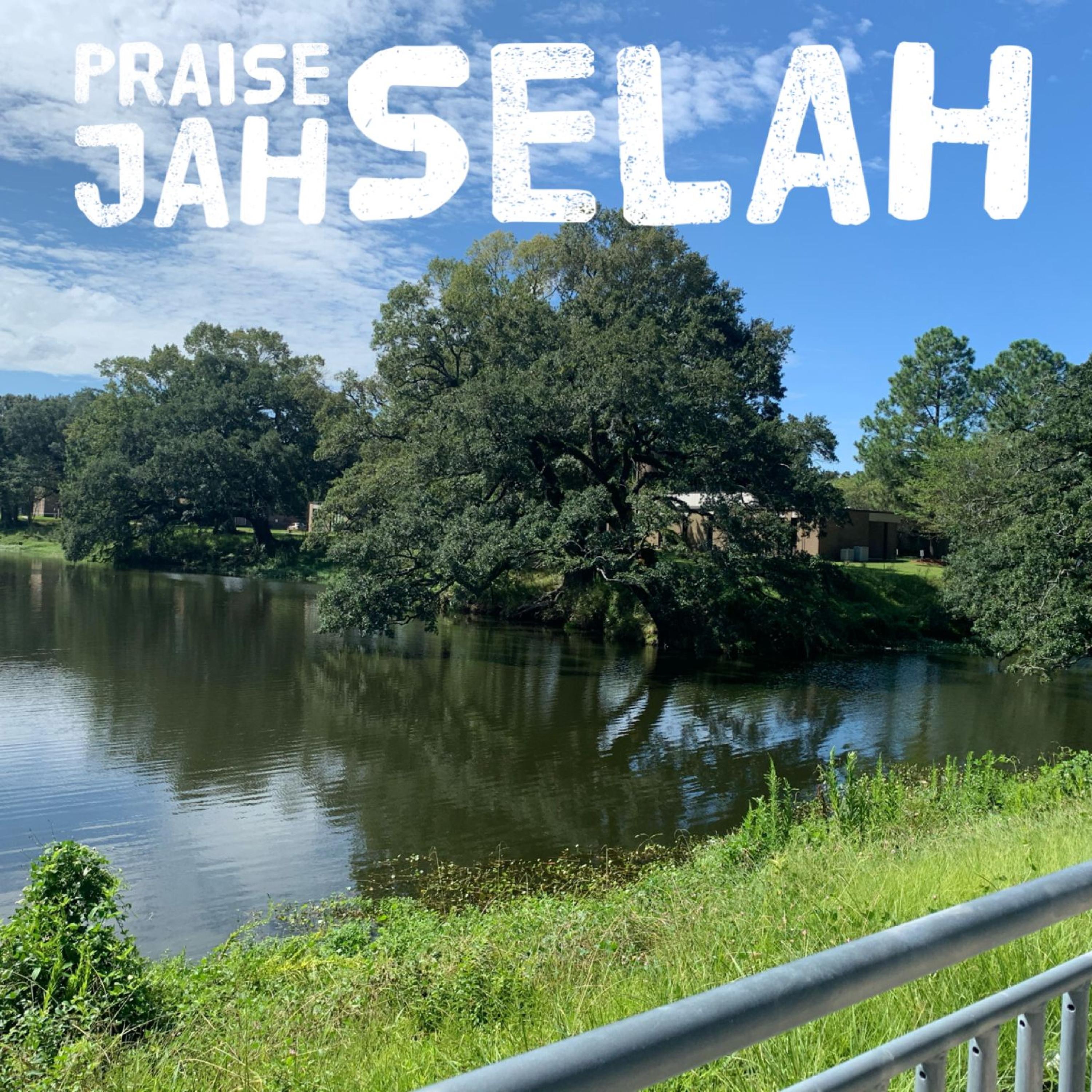 Praise Jah Selah - Single