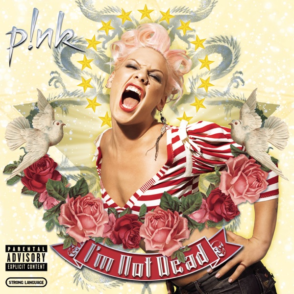 P!nk - Nobody Knows