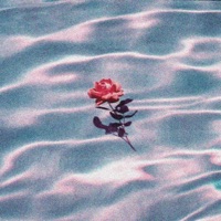 Jungle Party. - Single - The X