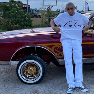 Opportunidades - Single