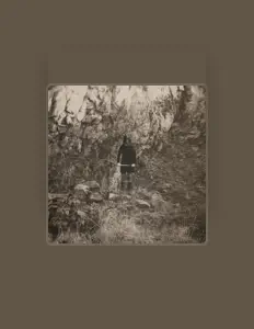 The Ambience Affair: песни, клипы, биография, даты выступлений и многое другое.