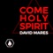 Come Holy Spirit artwork