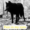 Pain in my eyes (feat. Mack C) - Single