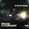 Sound of a Gunshot - Stereo (Edit)