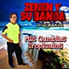 Zenen y Su Banda Digital - El Coche de Federico