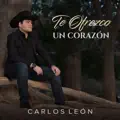 Te Ofrezco un Corazón