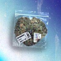 Wave - Single - Gyanma