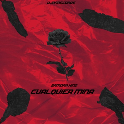 Cualquier Mina - Single