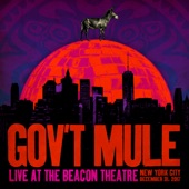 Gov't Mule - For What It's Worth (Live)