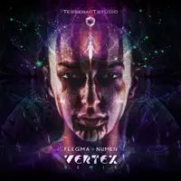 Numen (Vertex Remix) — Flegma