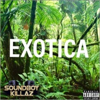 Exotica (feat. Dmo) - Single - TipTop
