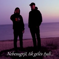 Laiko Jau Nebėr - Single - Stygle