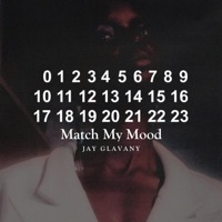 Match My Mood - Single - Jay Glavany