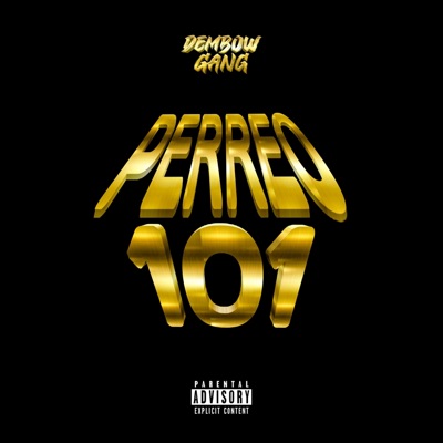Perreo 101 - Single