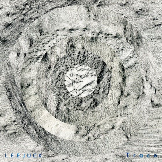 Cover artwork for Whale Song