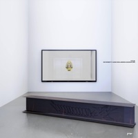 Diversity and Inclusion Committee - Single - vyle.