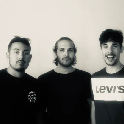 Listen to The Flops, watch music videos, read bio, see tour dates & more!