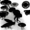Splinter of the Minds Eye (Two Mamarrachos Remix) - Tronik Youth lyrics