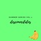 Desconocidos (Summer Series Vol.1) - RUVNR3C lyrics