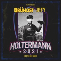 Holtermann 2021 (Festen Er I Gang) [feat. Haukebri] - Single - Brünost & JRFY