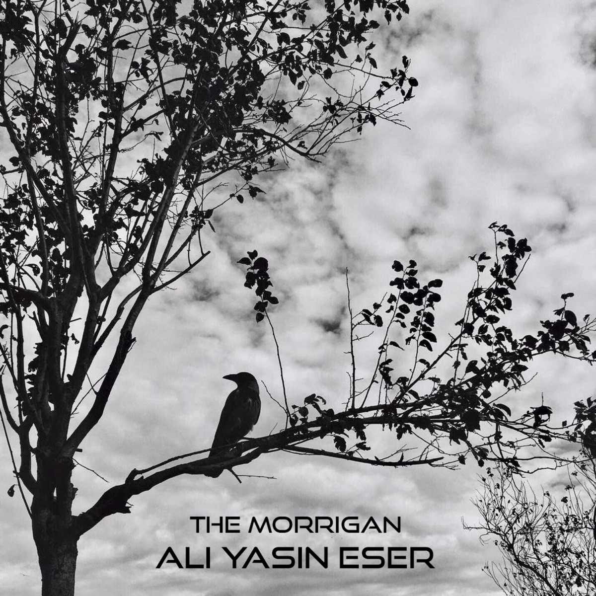 Ravage - Single by Ali Yasin Eser on Apple Music