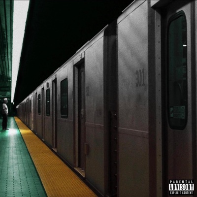 Amtrak Flows - Single